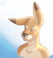 handsome roo face :3