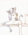 On the Shelf