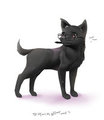 pupsona