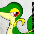 The Snivy stands out on the paper...
