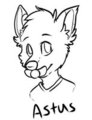 Astus Headshot C: