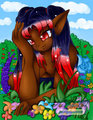 Ki How Sapphire 002