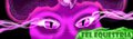 New Fel Equestria Banner