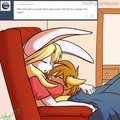 pet silvy