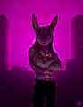 Give it up for the DJ by Dbruin