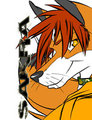 Sakra - 2011 FE Badge