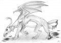 Zombie dragon 