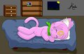 Silence ... My little is sleeping by VeegGato