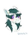Blushy Mare