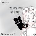 Ferrets...