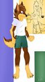 Abelard The Fox by cjiwer