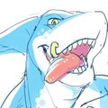 Shark by miharushoka