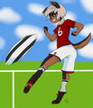 Soccer Practice