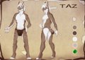 Taz - not my work by tazlynx