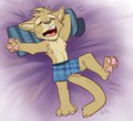 Catnap, by Rileyy