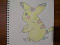 a pokemon