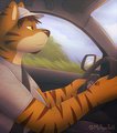 Road Trip by Mytigertail