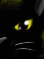 The Cat Sees You