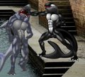 One Killer of A Whale