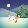 Forest Surprise