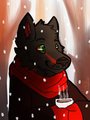 Winter Icon 2015/16 by BabWolfie