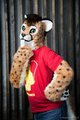 Mroowr? by Lozi