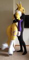 Renamon and Me