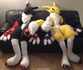 Renamon - Two Sides