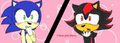 Sonadow-i love you,Sonic