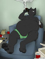 Joel, Lazy Slob by Immelmann