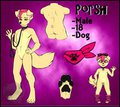 Porsh