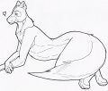 A malamute 