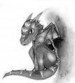 Baby Kazul 