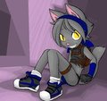 Little Grey Cat