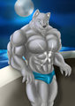 FrostlyWolf by Esonver