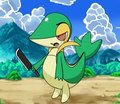a snivy