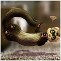 Weasel War Dance!