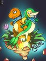 PSMD - Lenn and Rinko of Team Rukans!