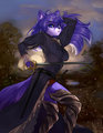 En garde! by DragonFU