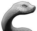Serpent