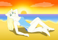 Beach Wolf