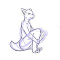 sketches