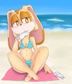 Cream the rabbit by krayboost