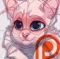 PINK_kitty