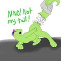 Not the tail