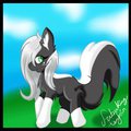 Skunk pony