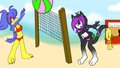 beach