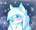 Winter Snowy