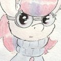 Sweater Pony