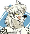 Destiny the Wolf